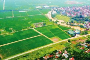 Quy trình xây dựng bảng giá đất